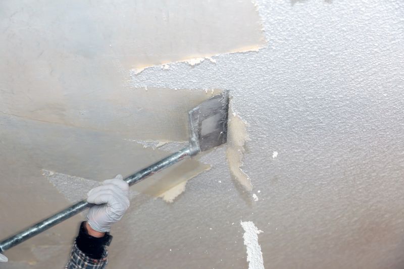 Ceiling Texture Removal